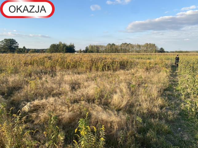 Działka Sprzedaż Koluszki 2