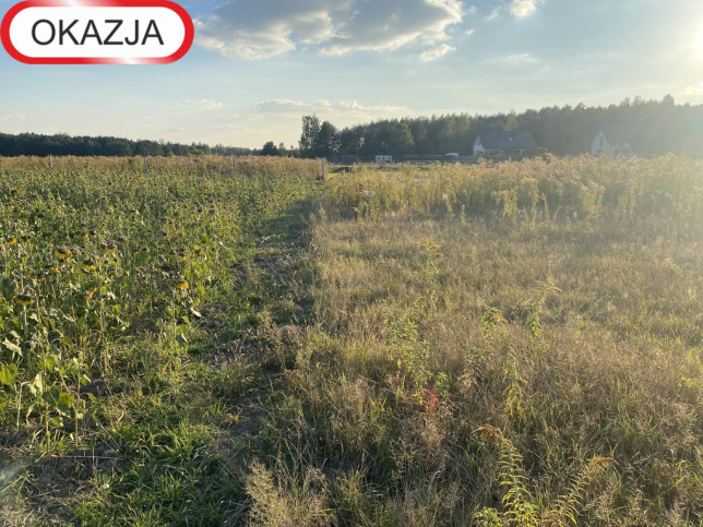 Działka Sprzedaż Koluszki 3