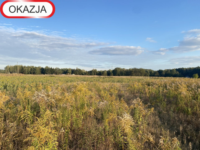 Działka Sprzedaż Koluszki 5